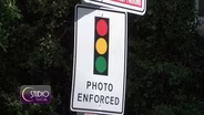 Beverly Hills Red Light Cameras