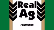 Pesticides