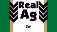 Soy