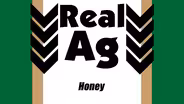 RealAg Honey (Ep 603)