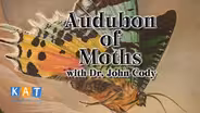 Audubon Of Moth
