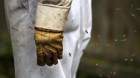 Video thumbnail: Arts and Life Oregon Beekeepers In Search of the "Over-Winter"