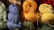 Season 15, Episode 4