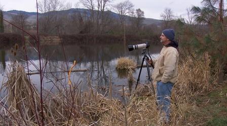 Video thumbnail: Oregon Art Beat Dan Elster, photographer