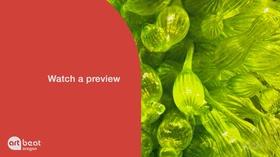 Video thumbnail: Oregon Art Beat Highlighting This Week's Glass Special
