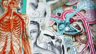 James Allen, Book Arts