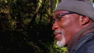 Darrell Grant