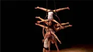 The Circus Project