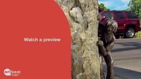 Video thumbnail: Oregon Art Beat Working Together On Oregon Art Beat This Week