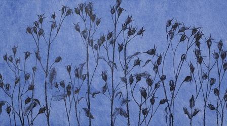 Video thumbnail: Oregon Art Beat Season 13, Episode 21