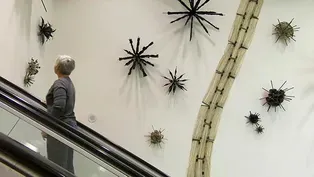 Installation Artist Brenda Mallory