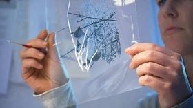 Video thumbnail: Oregon Art Beat Conceptual Artist Renee Couture