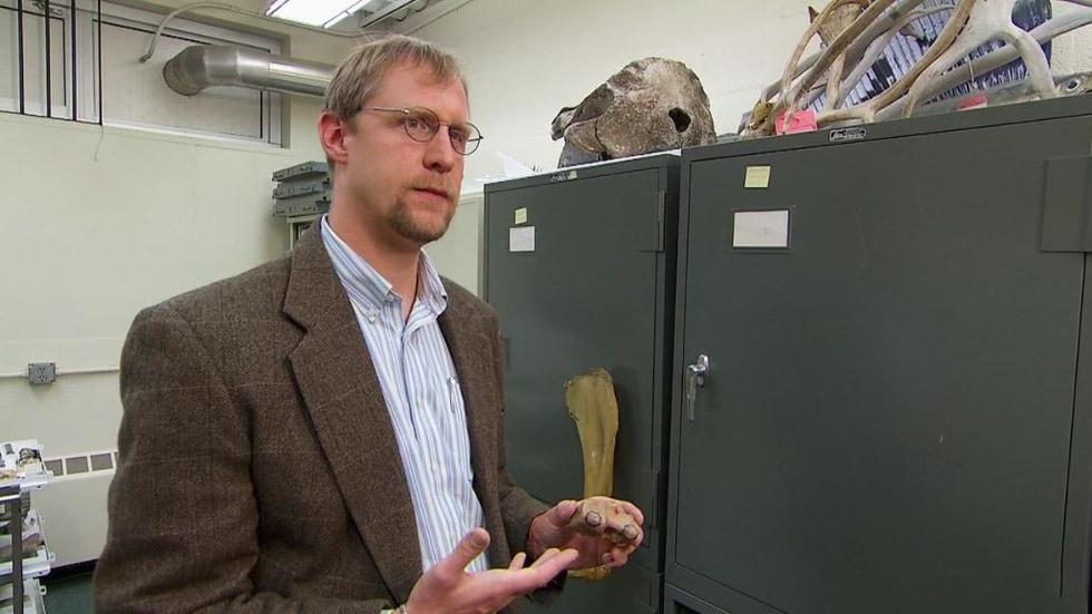 Edward Davis on Ancient Horses and Seals image