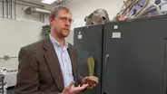 Edward Davis on Ancient Horses and Seals