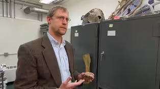 Edward Davis on Ancient Horses and Seals