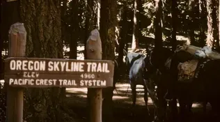 Oregon's Skyline Trail