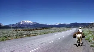 Vanishing Trails