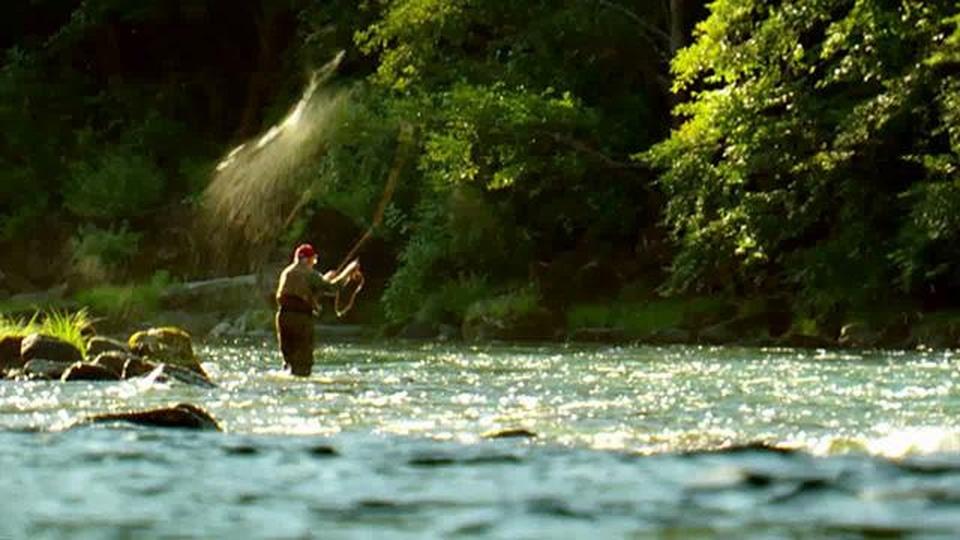 Wolverines Found in Oregon | Season 25 Episode 2503 | Oregon Field