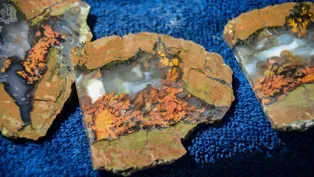 Thundereggs: Oregon's State Rock