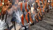 First Salmon Ceremony