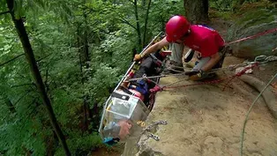 Wilderness Medics