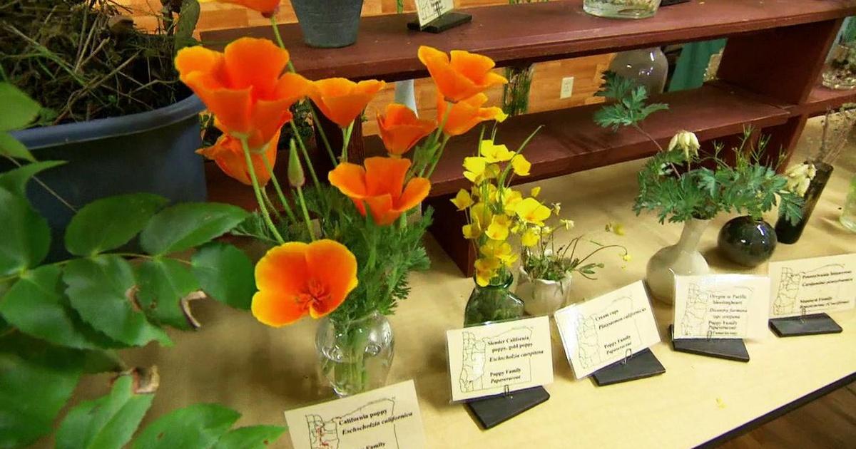 Oregon Field Guide Glide Wildflower Show Season 26 Episode 2603 PBS