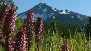 Celebrate Wilderness Photo Essay
