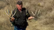 Shed Antler Hunting