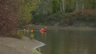 Ross Island