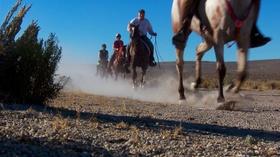 Video thumbnail: Oregon Field Guide Preview: Season 26, Episode 6 Endurance Horse Racing