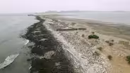 Cormorant Vs. Salmon