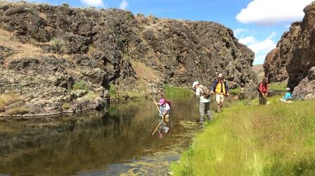 Video thumbnail: Oregon Field Guide Desert Frogs, Halfway Calendar and Snowkiting
