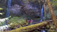 Waterfall Hunters, Moving Meacham Creek & Christmas Ships