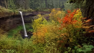 OFG Nature Break: Silver Falls State Park