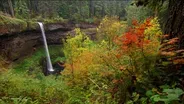 OFG Nature Break: Silver Falls State Park