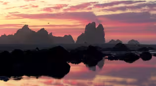 Nature Break: Night Skies Over the Oregon Coast