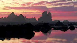 Nature Break: Night Skies Over the Oregon Coast