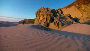 A Nature Break of the Oregon Coast