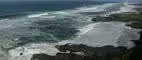 Dead Zone Update; Whychus Creek Restoration; Sea Turtles
