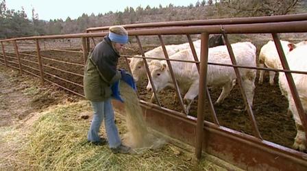Video thumbnail: Oregon Field Guide Season 28 Episode 4: Crossing The Urban-Rural Divide