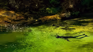 River Snorkeling