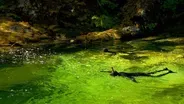 River Snorkeling
