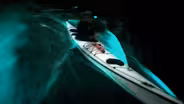 Bioluminescence