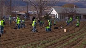 Video thumbnail: Oregon Field Guide Oregon Prison Sagebrush Project On Oregon Field Guide