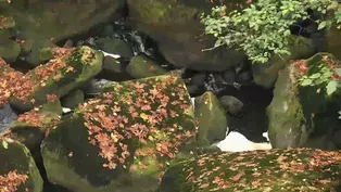 Autumn Rivers Photo Essay
