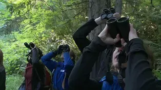 BioBlitz
