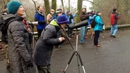 Christmas Bird Count