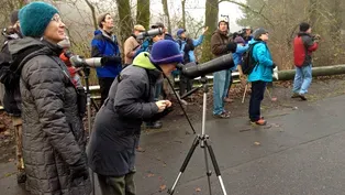 Christmas Bird Count
