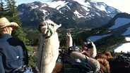 Llama Backpacking