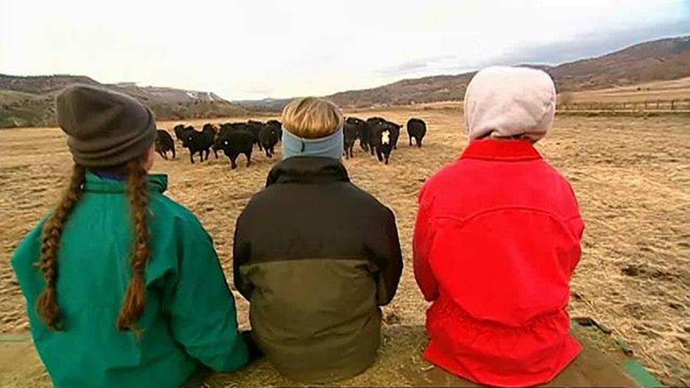 Season 21, Episode 1: Crossing the Urban-Rural Divide image